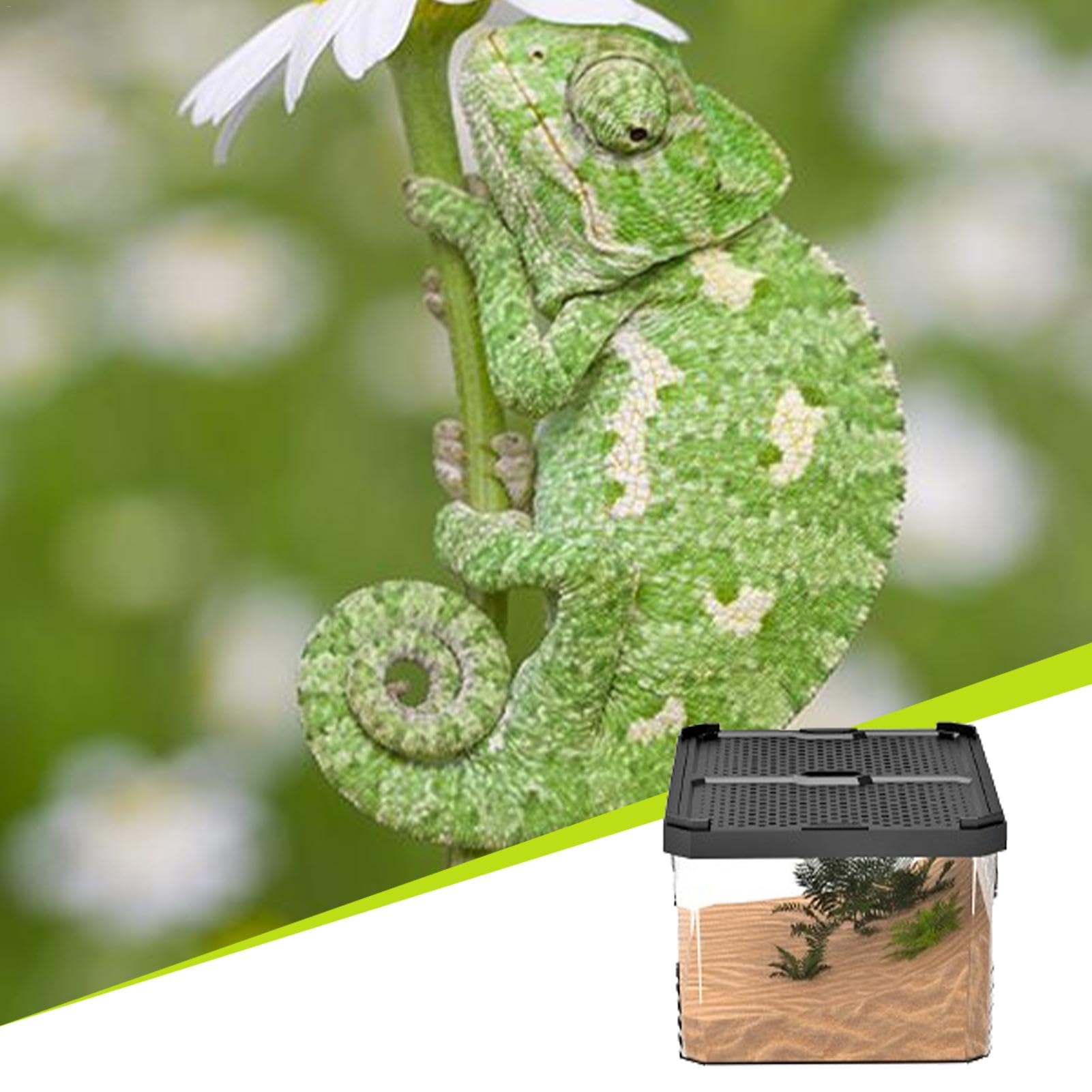 Amazon | トカゲ水槽、爬虫類, 積み重ね可能な爬虫類ケージ トカゲ